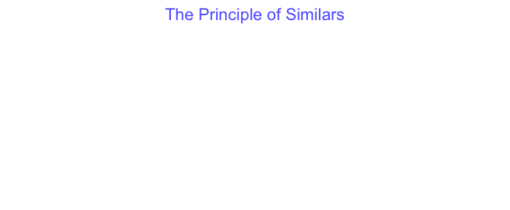 The Principle of Similars
